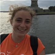 Studentessa di quinta liceo scientifico offre ripetizioni di matematica e fisica